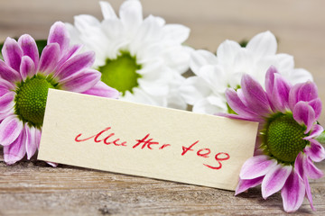  Blumen zum Muttertag