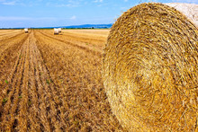 Bale Of Straw On Field
