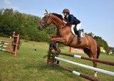 équitation