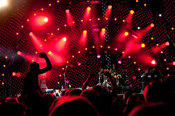 Wall Mural - Crowd of fans at a concert