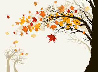 Wall Mural - autumn tree