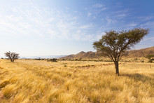 Naukluft Gebirge In Namibia, Afrika