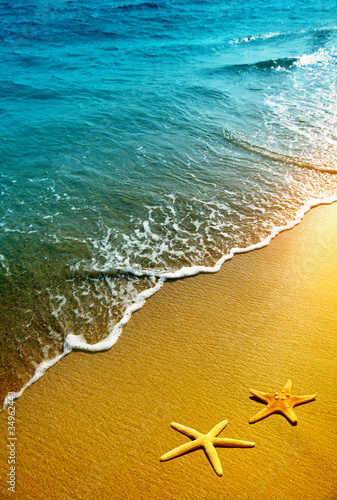 Naklejka na szybę starfish on a beach sand