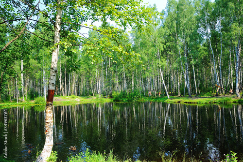Naklejka samoprzylepna Spoczywaj na jeziorze