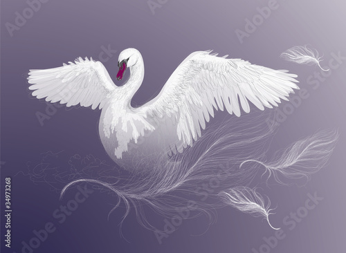 Fototapeta dla dzieci SWAN / Beautiful white bird dance