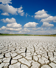 Wall Mural - drought land under dramatic sky