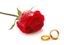 Wedding Concept With Roses And Rings