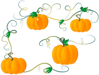 Wall Mural - Pumpkins