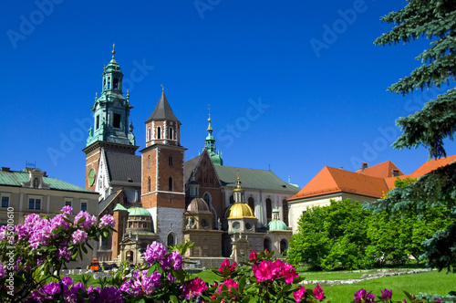 Obraz w ramie Wawel - Krakau - Polen