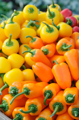 Wall Mural - Colorful bell peppers