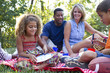 © Jeff Greenough/Blend Images - Interracial family having picnic