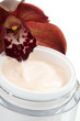 Face cream and orchid flower
