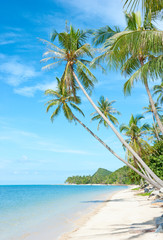  Beautiful tropical beach at Seychelles - vacation background