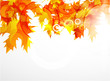 © antishock - Vector abstract autumn leaf background