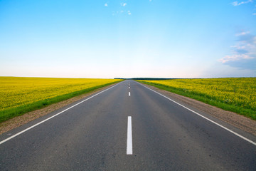 highway of flowering fields and blue sky