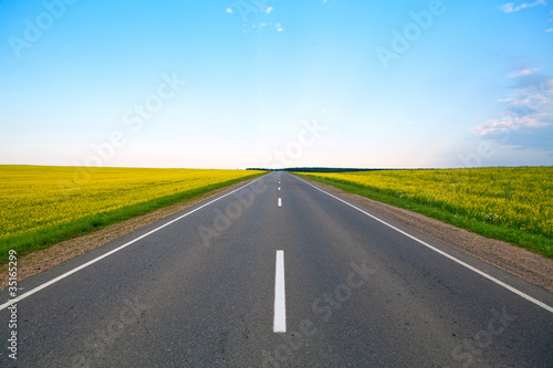 Cuadros en Lienzo Highway of flowering fields and blue sky
