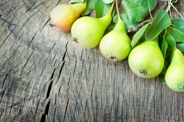 Wall Mural - Freshly harvested pears