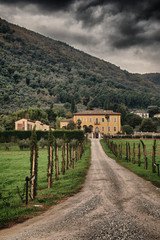 Wall Mural - Old Mansion with Garden in Lucca