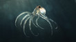 deep sea octopod