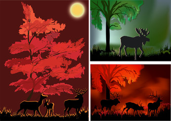 Wall Mural - three compositions with deers in forest