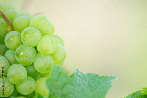 500_F_35251837_WeaolH02ZtxuoHvJx2mQkw04XyCuqCnD.jpg