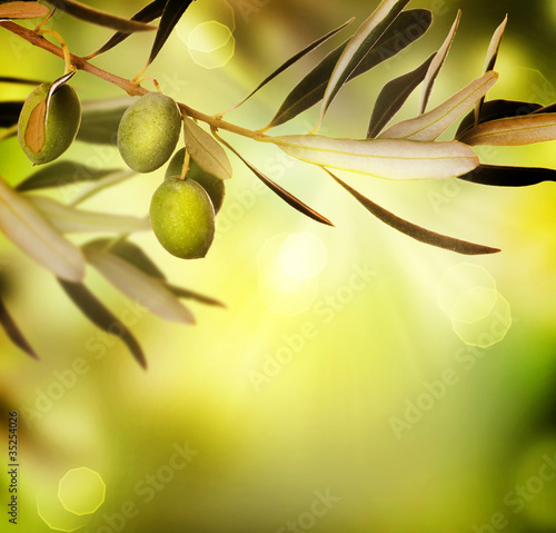 Naklejka - mata magnetyczna na lodówkę Olive border design.Food background