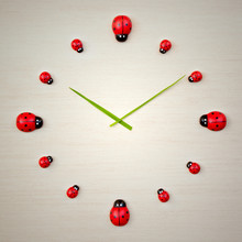 Ladybird Clock