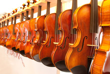 Display Of Violins