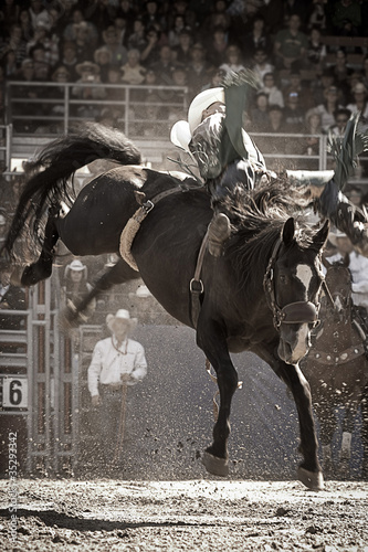 Tapeta ścienna Rodeo