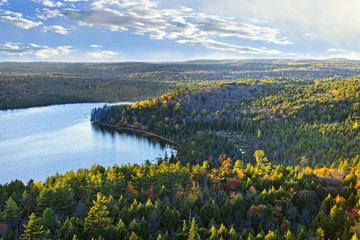 Wall Mural - Fall forest and lake top view