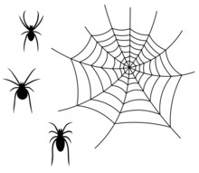 Spinnen Mit Netz