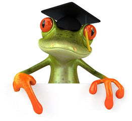 Canvas Print - Grenouille étudiante