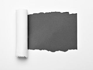 white crumpled curled scroll note paper