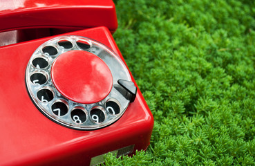 red phone on green grass