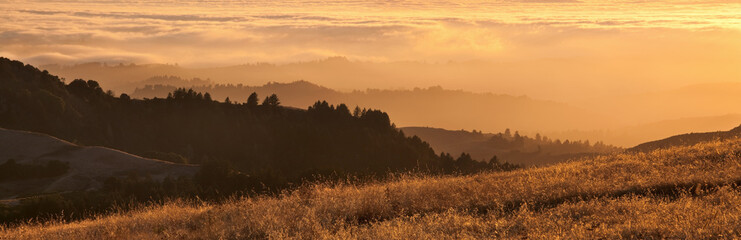 Panorama of California Bay Area fog at sunset.