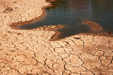 Wall Mural - Dry land