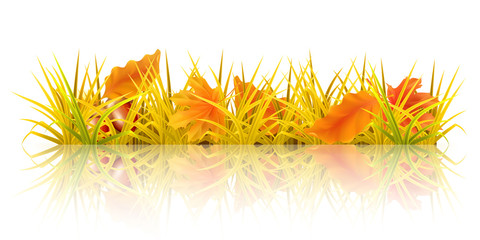 Wall Mural - Autumn grass