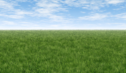 Green grass and blue sky