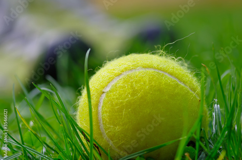 Obraz na płótnie canvas trzyczęściowy "tryptyk" Tenis, piłka, trawa, turniej, trawa, zielony, żółty