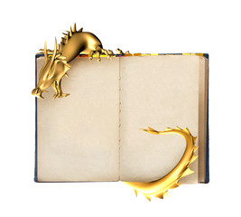 Sticker - Dragon and old book