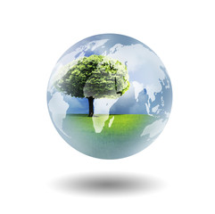 Wall Mural - tree and globe