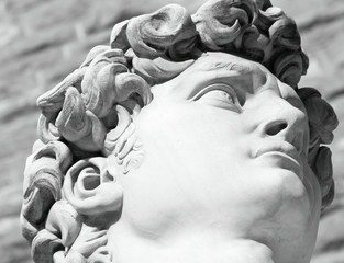 Wall Mural - head of famous statue of David by Michelangelo