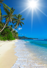 Canvas Print - Broad Daylight Palms Bay