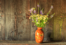 Retro Style Still Life Of Dried Flowers In Vase Against Worn Woo