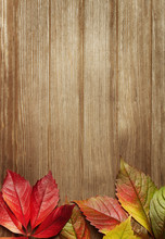 Autumn Leaves Over Wooden Background With Copy Space