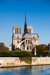 Wall Mural - Cathédrale Notre Dame de Paris, France
