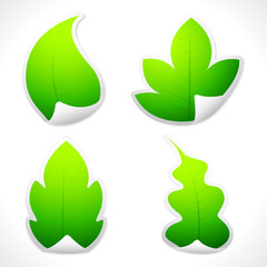 Poster - Leaf Sticker