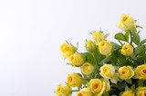 Fototapeta Tulipany - 黄色いバラ