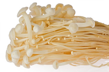 Sticker - Enoki Mushrooms (Flammulina velutipes)