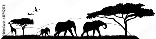 Plakat na zamówienie Savannen Silhouette Landschaft Tiere